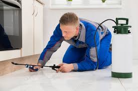 crouched-on-floor-spraying-pesticide